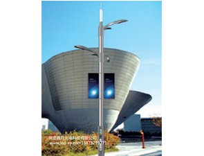 智慧路燈ZH2052 智慧路燈ZH2052